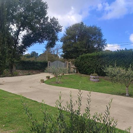 Tenuta Quadrone Cura di Vetralla Εξωτερικό φωτογραφία
